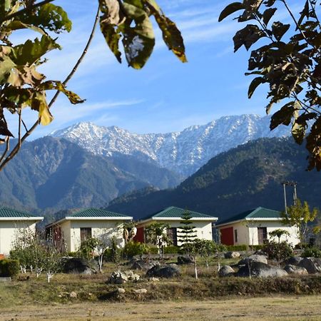 Dhauladhar View Village Resort ダラムシャーラー エクステリア 写真