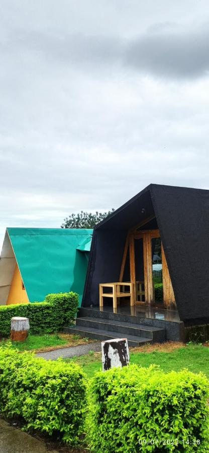 Dhauladhar View Village Resort ダラムシャーラー エクステリア 写真