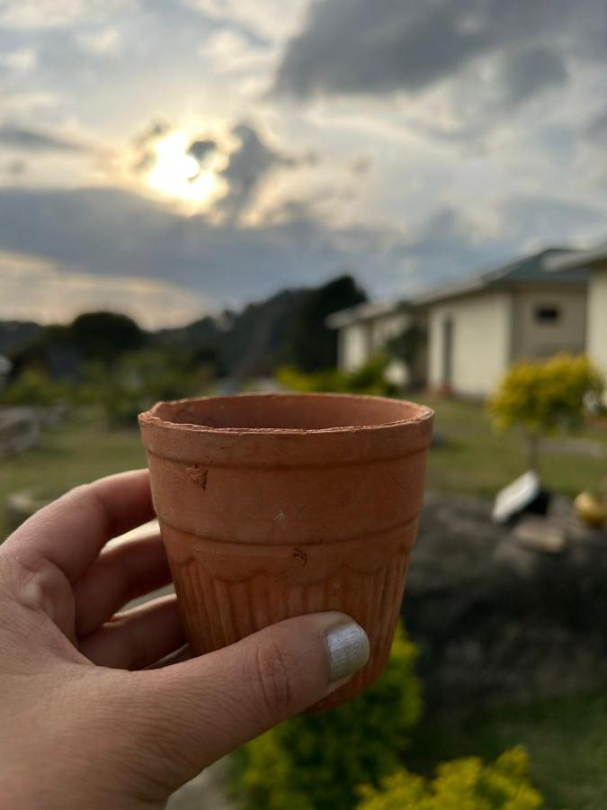 Dhauladhar View Village Resort ダラムシャーラー エクステリア 写真