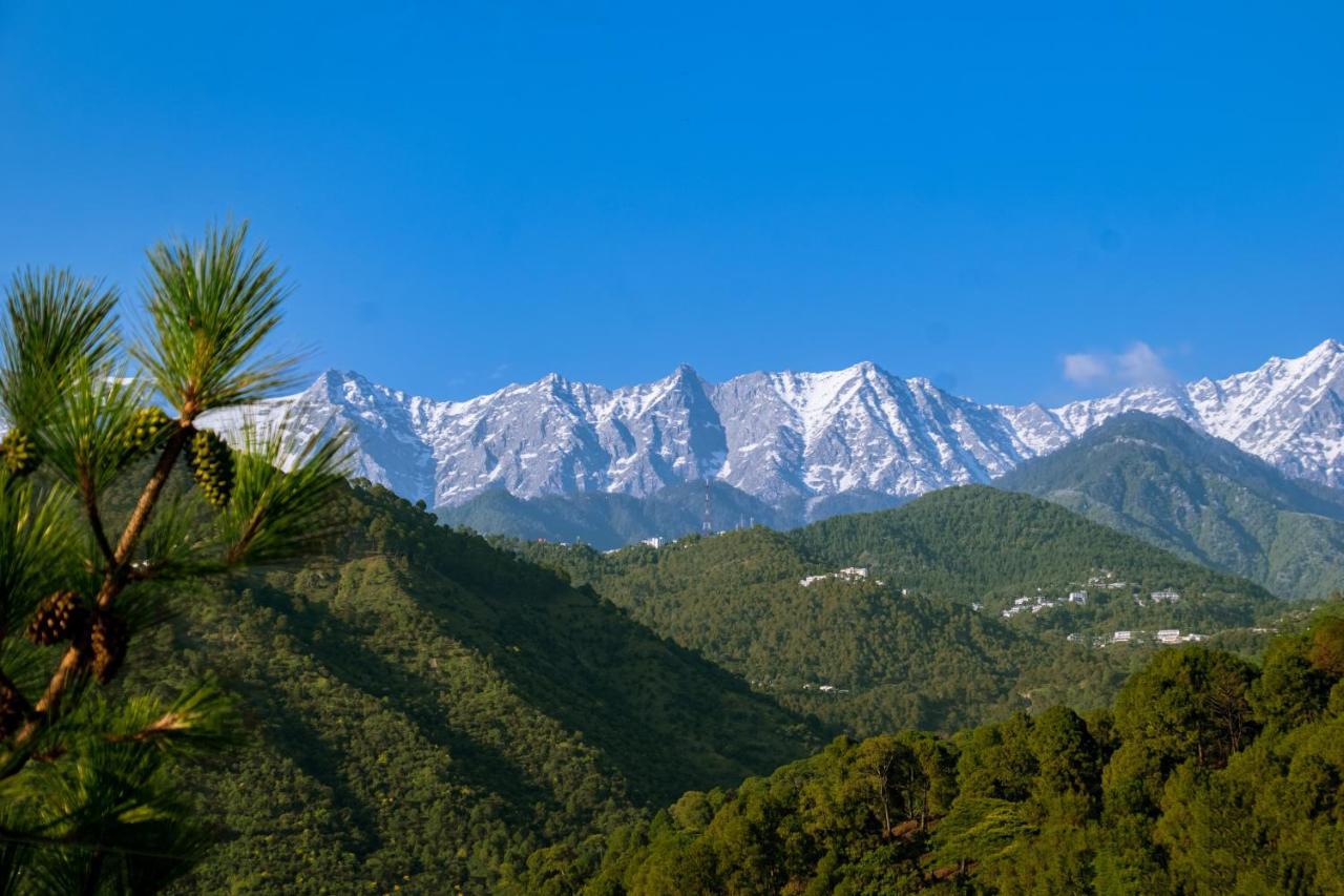 Dhauladhar View Village Resort ダラムシャーラー エクステリア 写真